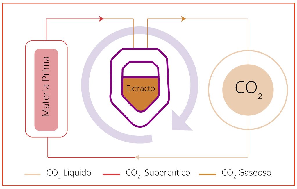 diagrama